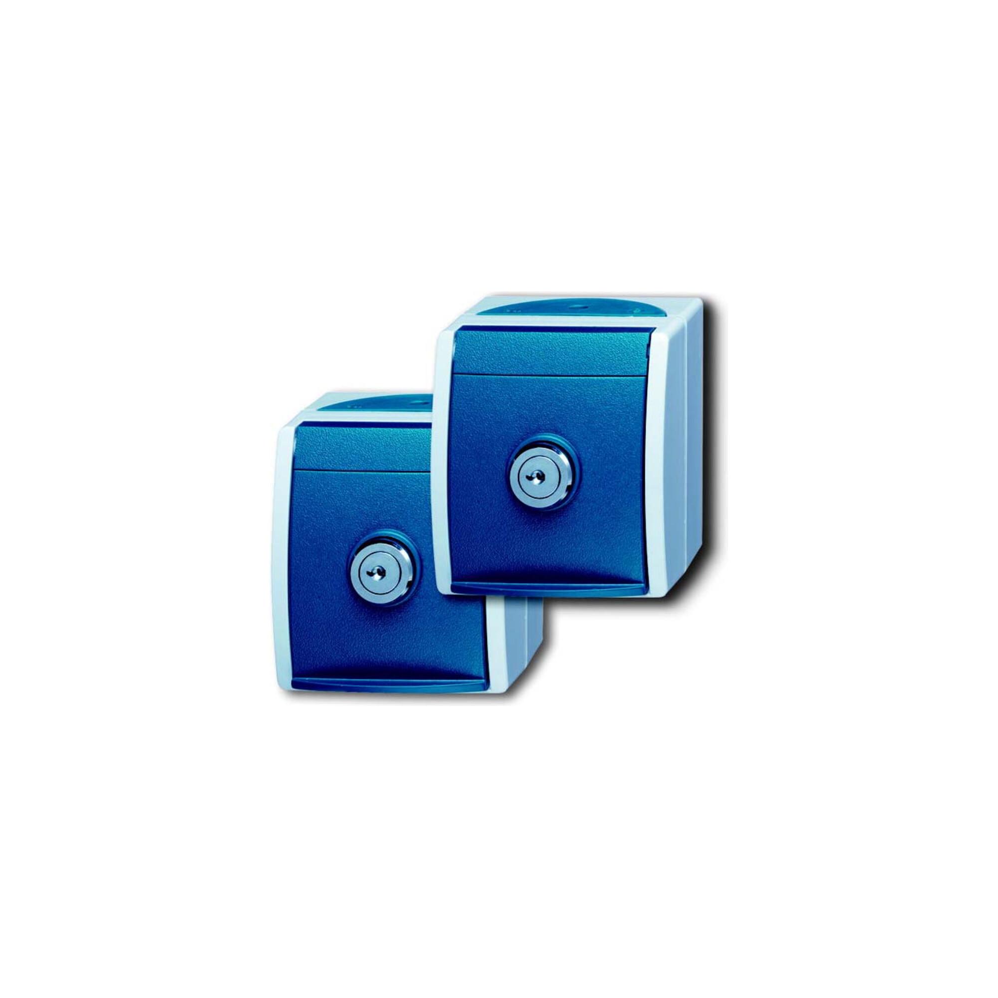 Busch-Jaeger Schuko-Steckdose 2xAP 2 gleiche Schlösser 20/20 EWSL-53 (2CKA002083A0816)