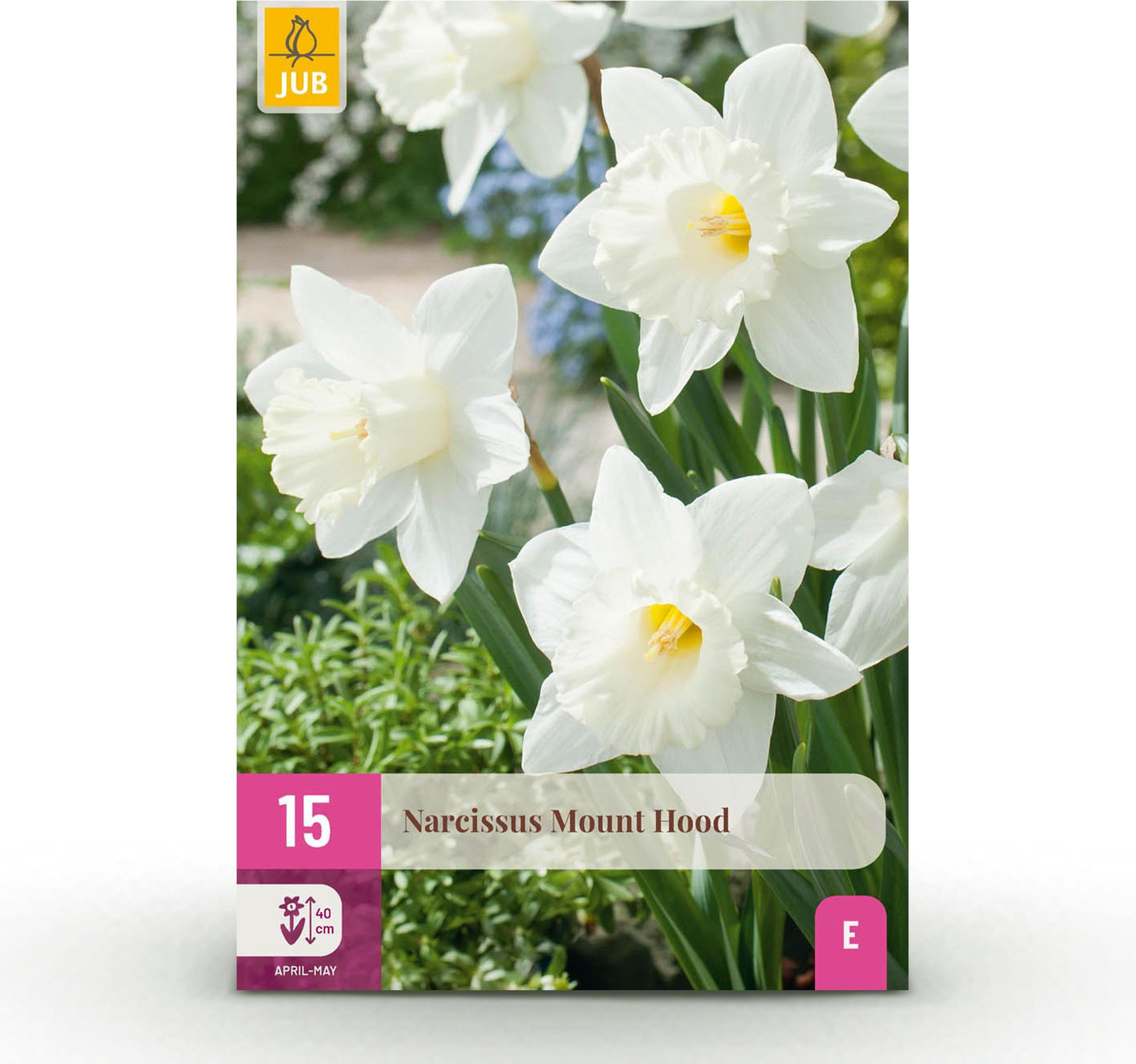 Narcis Mount Hood bloembollen - Wit - 15 stuks - Bolmaat 10/12 - Pflanzenboutique