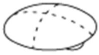 Pressalit Sitzring-Puffer A4023000 zum Eindrücken, oval, weiß
