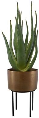 "Uttermost Arabia Aloe Planter - 19.7""W x 37""H x 19.7""D"
