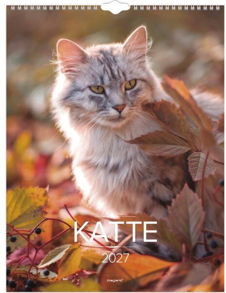 Mayland 2027 Vægkalender, Katte