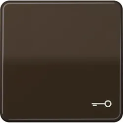 Jung Wippe Symbol TÜR br CD 590 T BR CD590TBR