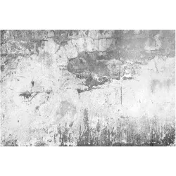 FOTOTAPETE Grunge Betonwand Grau 288/190 cm