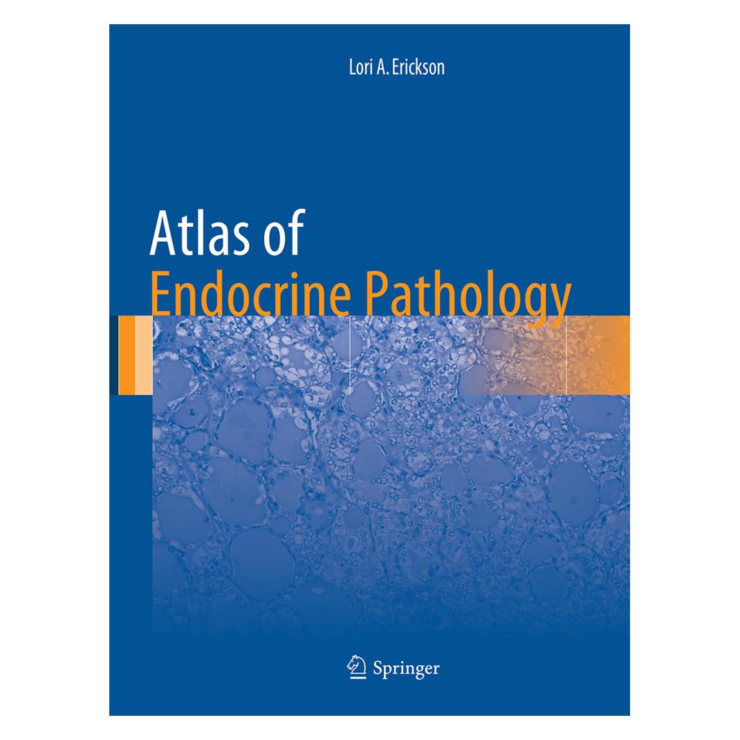 Springer Atlas of Endocrine Pathology (Englisch, Softcover, Lori A Erickson, Lori A. Erickson) (55833038)