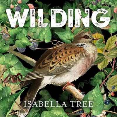 Wilding - Isabella Tree, Audio, 9781529007954