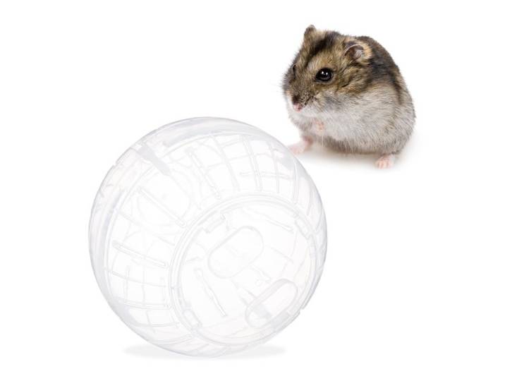 Relaxdays 10 x Hamsterball transparent