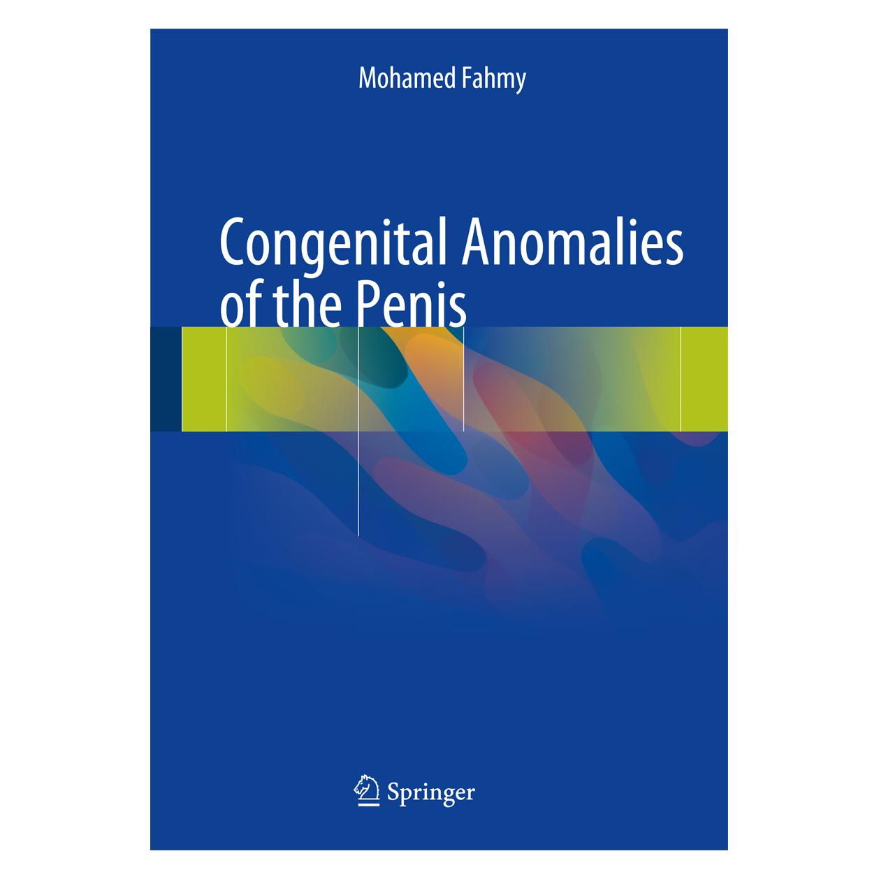Springer Fahmy:Congenital Anomalies of the Penis (Englisch, Hardcover, Mohamed Fahmy) (9783319433097)