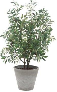 "Uttermost Marisol Potted Olive Plant - 28.50"" W x 45.25"" H x 26.50"" D"