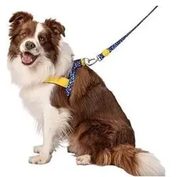Morso Norwegian Hondentuig Gerecycled Color Invaders Paars (Hund, Allgemein), Halsband + Leine