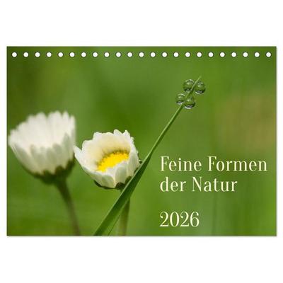Feine Formen der Natur (Tischkalender 2026 DIN A5 quer), CALVENDO Monatskalender