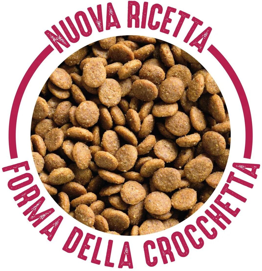 ViVi Cat Adult al Prosciutto 1.7KG