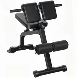 SPORTNOW Hantelbank Klappbar Multifunktionale Trainingsbank mit 10-Fach Höhe Bauchtrainer