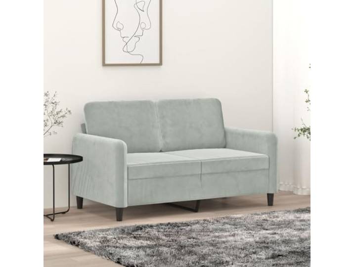 HEFZGDB 2-Sitzer Sofa Hellgrau 120 cm Samt Stoff Modernes Wohnzimmer Polstermöbel mit Robustem Metallgestell und Bequemer Sitzfläche für Entspannung Fernsehen Lesen