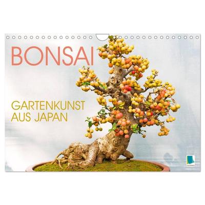 Gartenkunst aus Japan: Bonsai (Wandkalender 2026 DIN A4 quer), CALVENDO Monatskalender