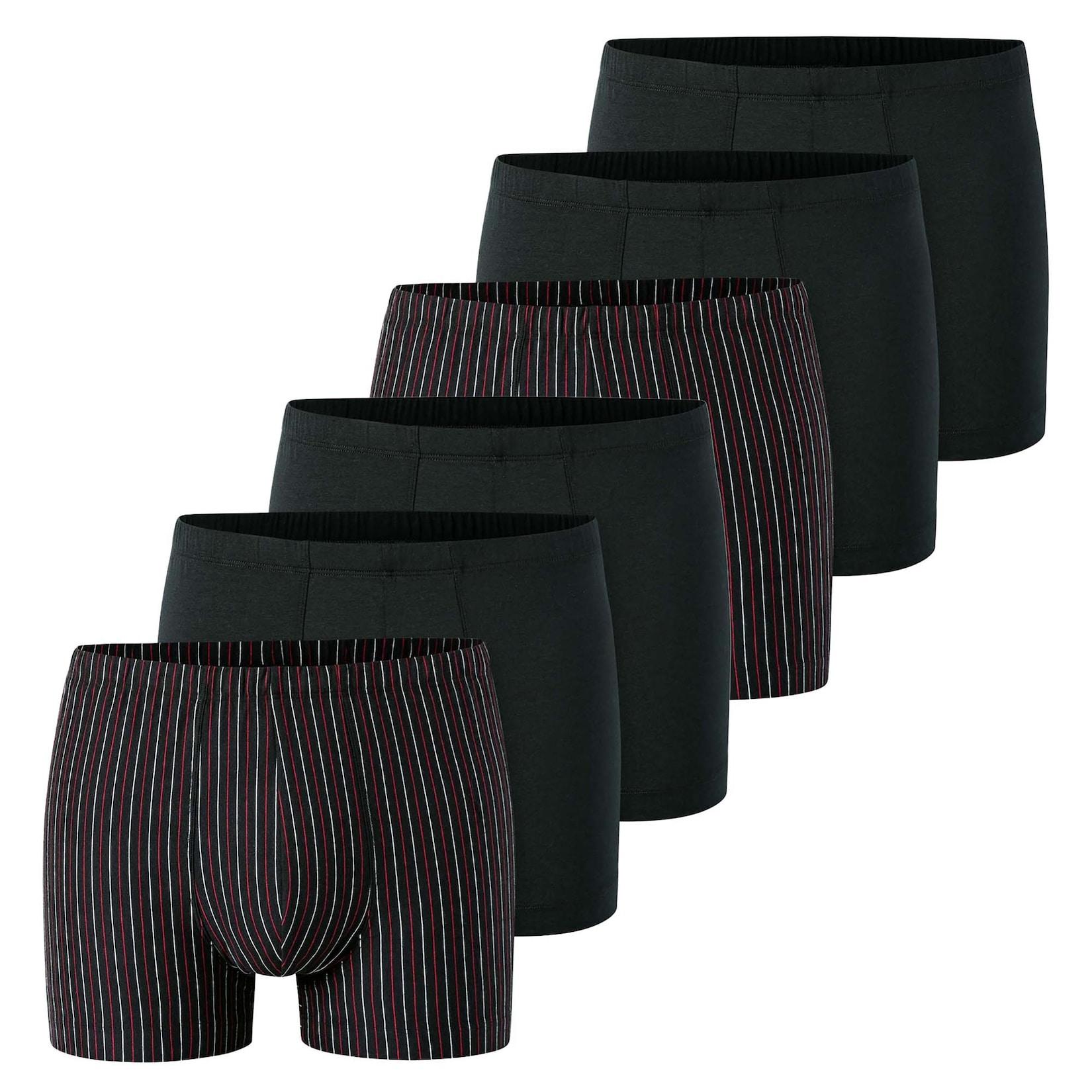6PACK Shorts "95/5" Herren Boxershort