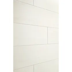 RESTPOSTEN SALE MEISTER Dekorpaneele MeisterPaneele. terra DP 250 / Delgado-Esche 167 - 2600 mm