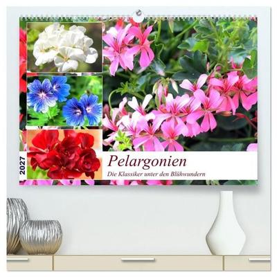 Pelargonien. Die Klassiker unter den Blühwundern (hochwertiger Premium Wandkalender 2027 DIN A2 quer), Kunstdruck in Hochglanz