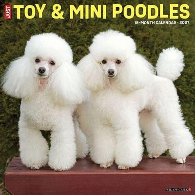 Toy & Miniature Poodles 2027 12 X 12 Wall Calendar