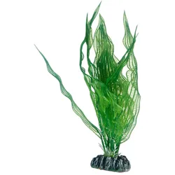 Hobby Aponogeton - 25 cm - künstliche Aquariumpflanze