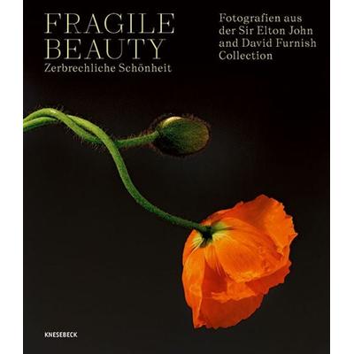 Fragile Beauty – zerbrechliche Schönheit, Gebundene Ausgabe von Diane Arbus,Cindy Sherman,Richard u. a. Avedon, Knesebeck