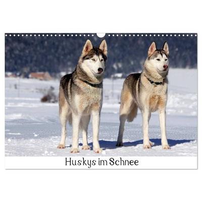 Huskys im Schnee (Wandkalender 2026 DIN A3 quer), CALVENDO Monatskalender