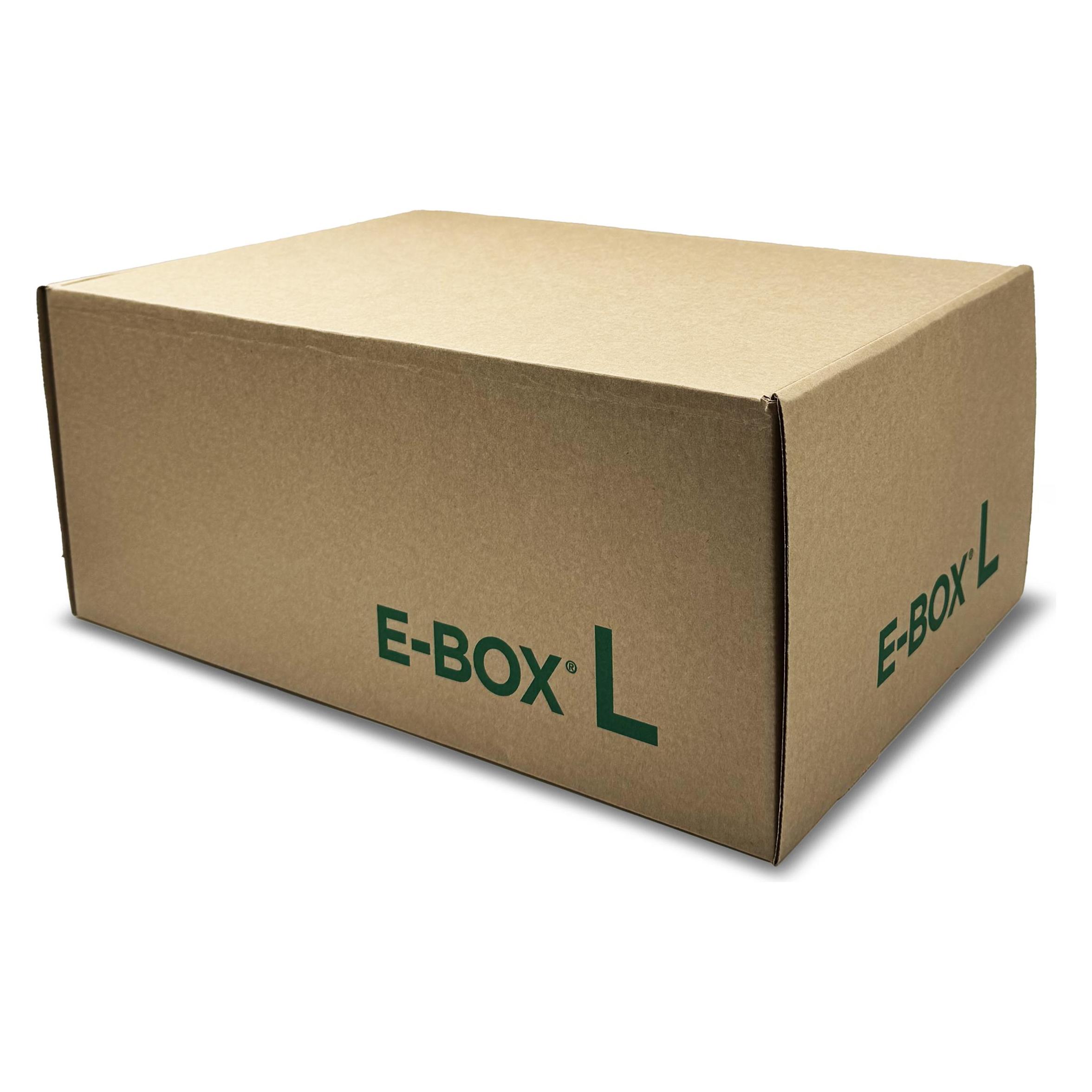 Blasetti Packung mit 10 E-Box L Boxen (10 Stk.) (0364)
