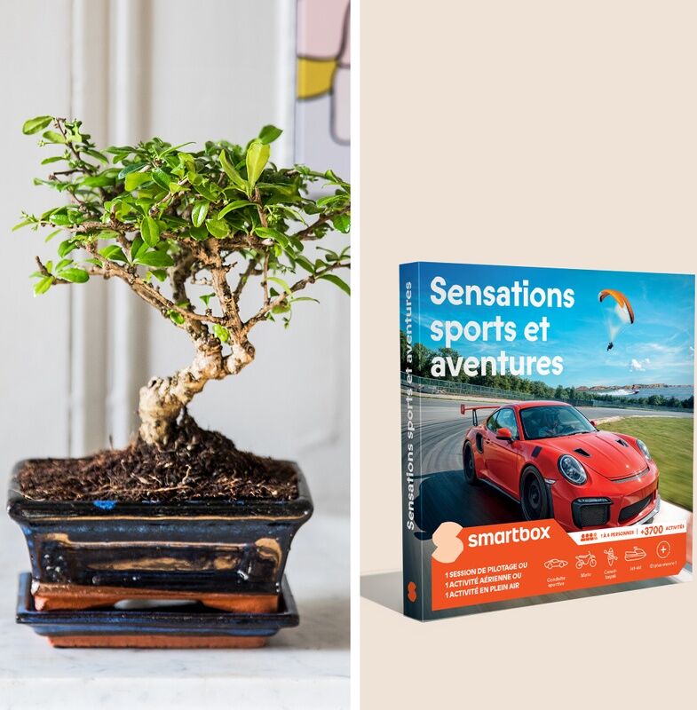 Coffret sensations : le duo Bonsaï et Smartbox Aventures - Interflora