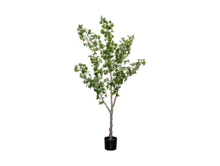 Lebensechte Kunstpflanze „Ginko Biloba Tree L“, Ø 40 x 180 cm Grün Baq Design
