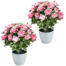 CREATIV green künstliche Pflanze Azaleenbusch, 32cm, 2er Set