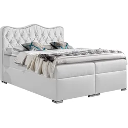 BOXBETT Sultan - H3