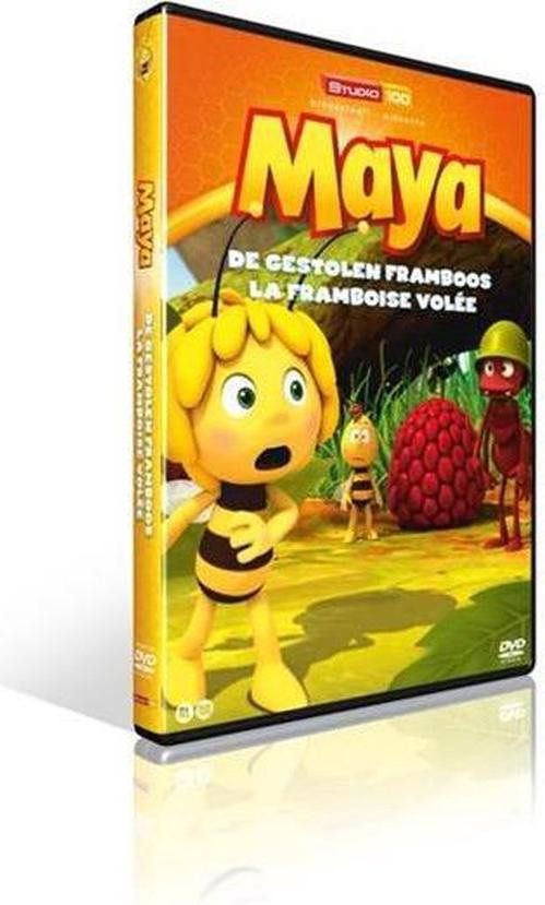 Studio 100 Geanimeerde film DVD Nederlands 2D 1 schijf