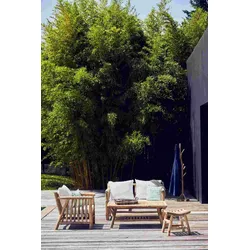 Couchtisch Fred aus massivem Teakholz, Boho Stil, rechteckig, natur, für Outdoor