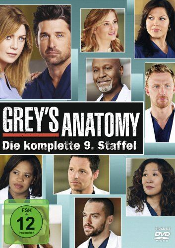 Ellen Pompeo - Grey's Anatomy: Die jungen Ärzte - Die komplette 9. Staffel [6 DVDs] - Preis vom 08.10.2026 07:26:42 h