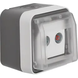 Berker Antennen-Steckdose lgr Durchgangsdose 2Loch 12033525