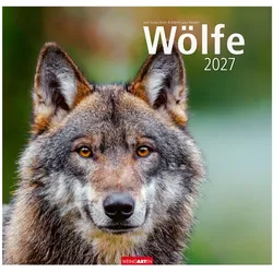Weingarten, Kalender, Wölfe Kalender 2027