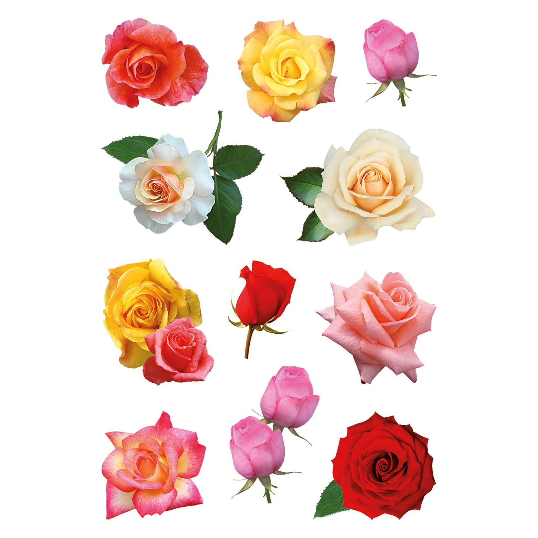 Herma Sticker Blumen (33 Sticker) (3308)
