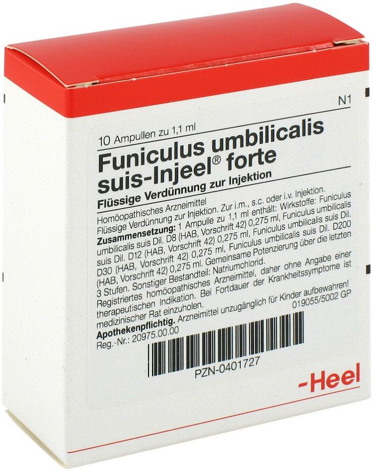 Funiculus Umbilicalis suis Injeel forte Ampullen