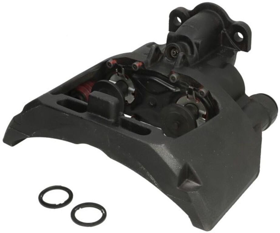 Jarrusatula Sbp Teq-Bp.016