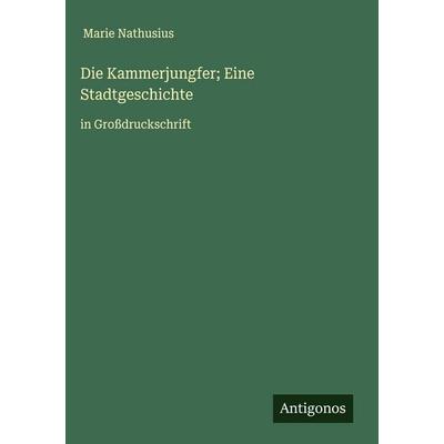 Die Kammerjungfer; Eine Stadtgeschichte, Gebundene Ausgabe von Marie Nathusius, Antigonos Verlag, 978-3-563-27952-6