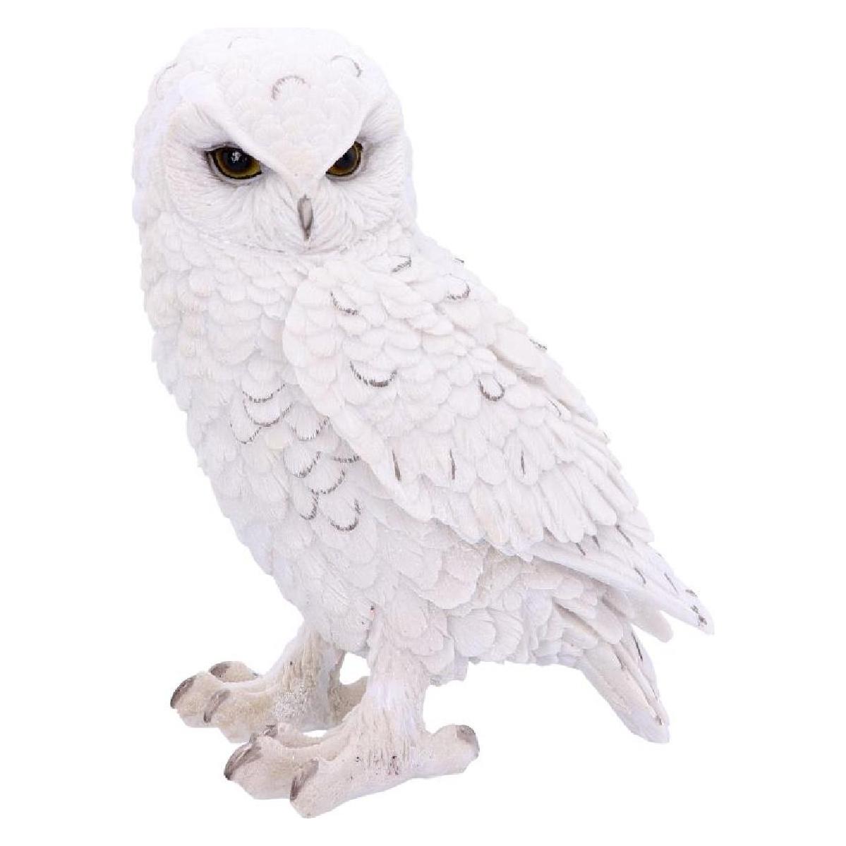 Nemesis Now Figurine d'ornement Grand hibou blanc 20cm (37001106)