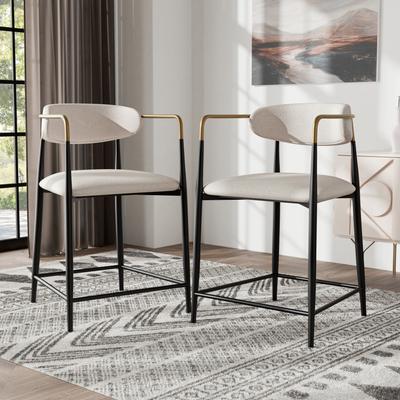 Furniture of America Darcy Modern Black Metal Counter Height Dining Chairs (Set of 2)