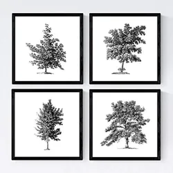 POSTER Set mit 4 Blättern der Bäume ohne Blüten weiß 20x20cm Schwarzer Rahmen