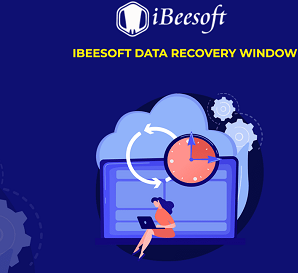 iBeesoft Data Recovery for Windows License Key GLOBAL