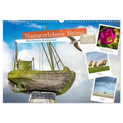 Naturerlebnis Rømø (Wandkalender 2026 DIN A3 quer), CALVENDO Monatskalender