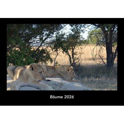 Bäume 2026 Fotokalender DIN A3