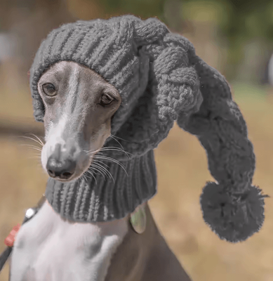 Inspire Picks Hand Knit Winter Wool Greyhound Snood Hat For Large Dogs Warm Beanie Accessories For Whippets & Sighthounds gray l