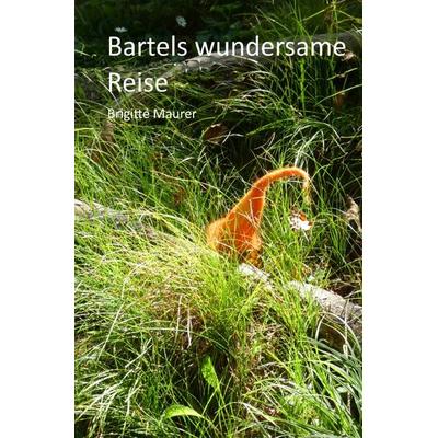 Bartels wundersame Reise, Taschenbuch von Brigitte Maurer, Epubli, 978-3-7549-3243-8