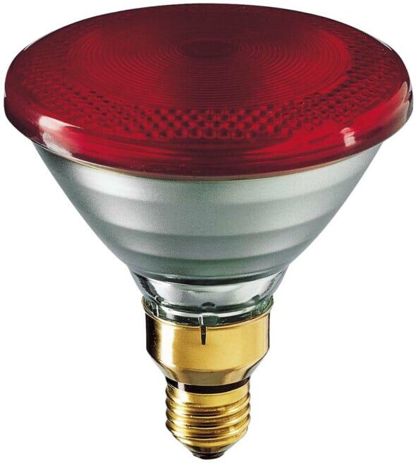 Philips Lighting Lampe chauffante infrarouge E27 240V PAR 38 IR 175 R PAR38/240V (12898015)