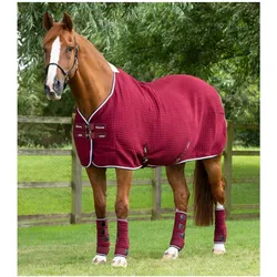 Premier Equine, Pferdedecke