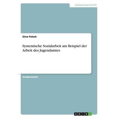 Systemische Sozialarbeit am Beispiel der Arbeit des Jugendamtes, Taschenbuch von Gino Felsch, GRIN, 978-3-656-89151-2